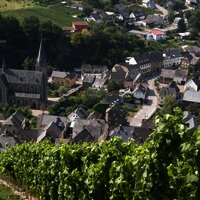 Blick von den Weinbergen auf Neumagen-Dhron