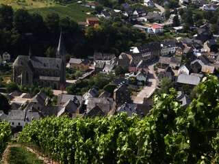 Blick von den Weinbergen auf Neumagen-Dhron