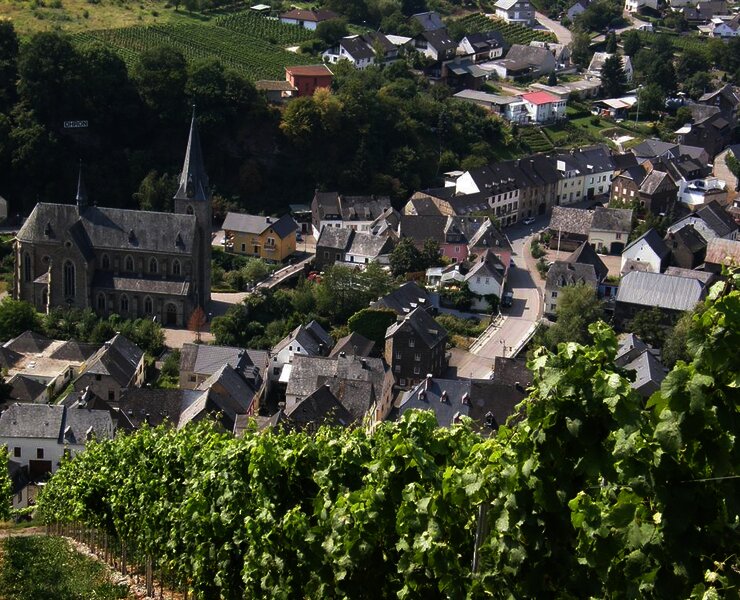Blick von den Weinbergen auf Neumagen-Dhron