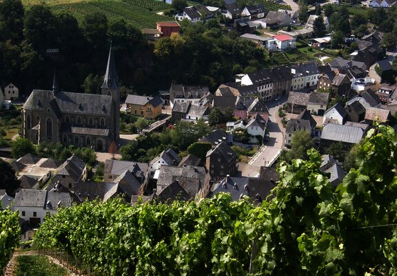 Blick von den Weinbergen auf Neumagen-Dhron