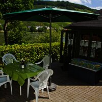 Moselterrasse         Fewo.Domherr