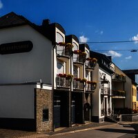 Bioweingut Hubertushof