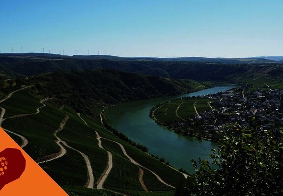 Moselpanoramastraße - Roadtrip an der Mosel mit herrlichen Aussichten