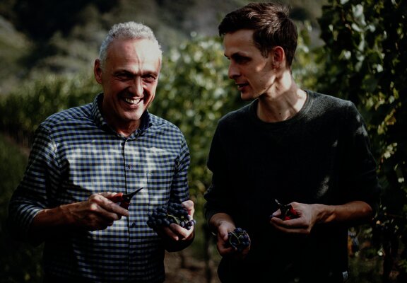Weinberge an der Mosel