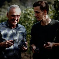 Weinberge an der Mosel