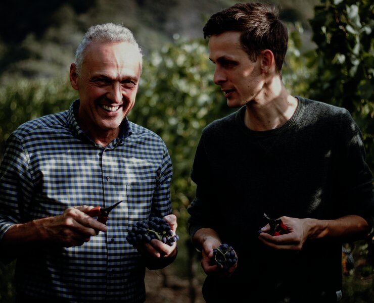 Weinberge an der Mosel