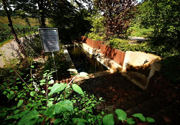 Wassertretbecken an der Pastorenkehre