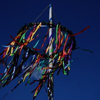 Maibaum aufstellen