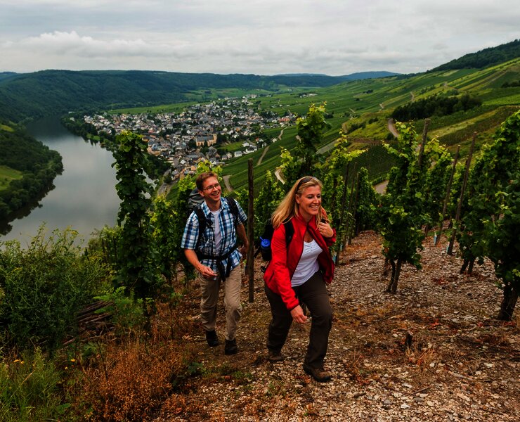 Blick aus den Weinbergen des Steffensbergs auf Kröv