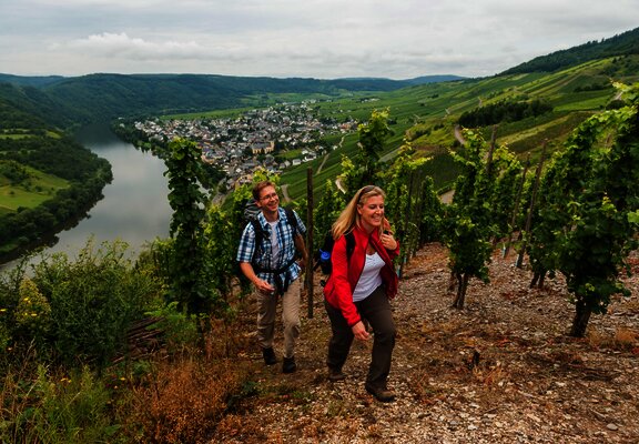 Blick aus den Weinbergen des Steffensbergs auf Kröv