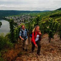 Blick aus den Weinbergen des Steffensbergs auf Kröv
