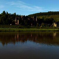 Blick vom Moselufer auf Schloss Lieser