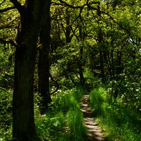Unterwegs bei den Graacher Schanzen