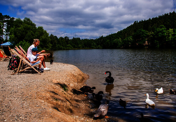 Das Bild zeigt einige Liegestühle an einem See. Eine Mutter und ihr Kind sitzen dort und schauen den Enten und Schwänen im See zu.
