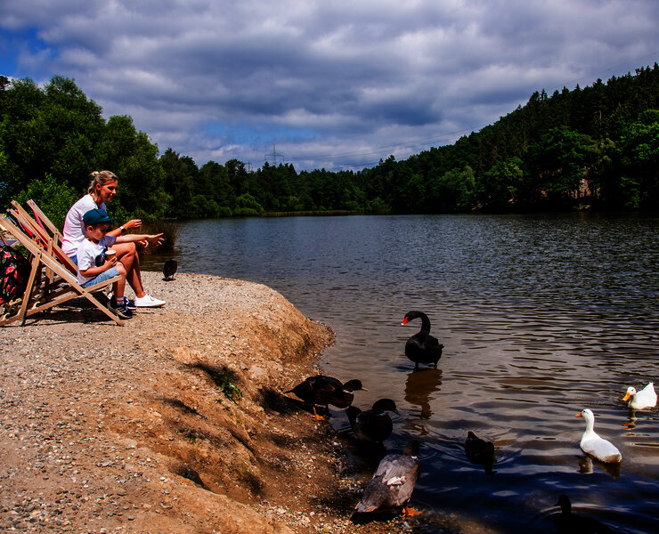 Das Bild zeigt einige Liegestühle an einem See. Eine Mutter und ihr Kind sitzen dort und schauen den Enten und Schwänen im See zu.
