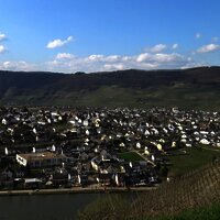 Blick von der Kapelle auf Piesport