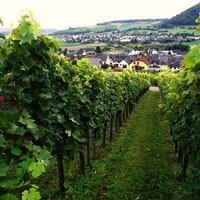 Weitblick hinter unserem Haus