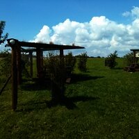 Grenderich: 'Bienenfernsehen'