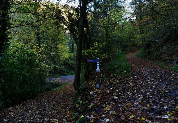 Abzweigung zum Wasserfall (mit dem Kinderwagen diesen Zwischenstopp auslassen=