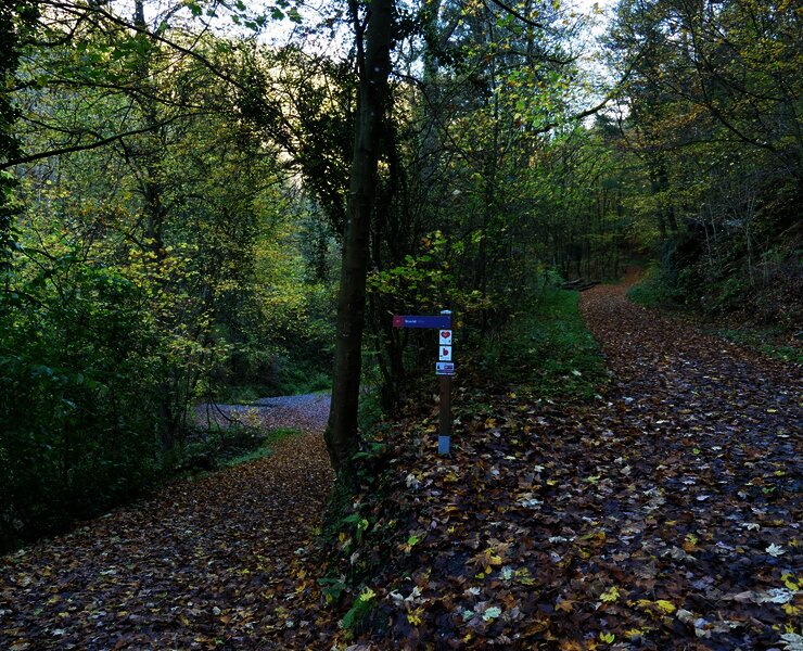 Abzweigung zum Wasserfall (mit dem Kinderwagen diesen Zwischenstopp auslassen=