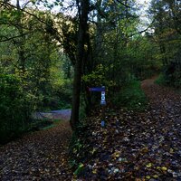 Abzweigung zum Wasserfall (mit dem Kinderwagen diesen Zwischenstopp auslassen=