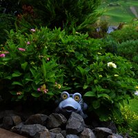 Garten Deko