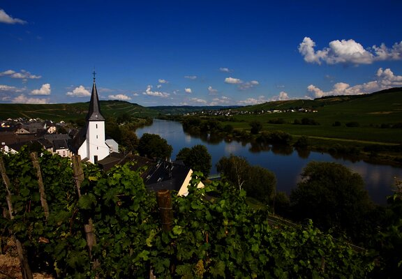 Kesten an der Mosel