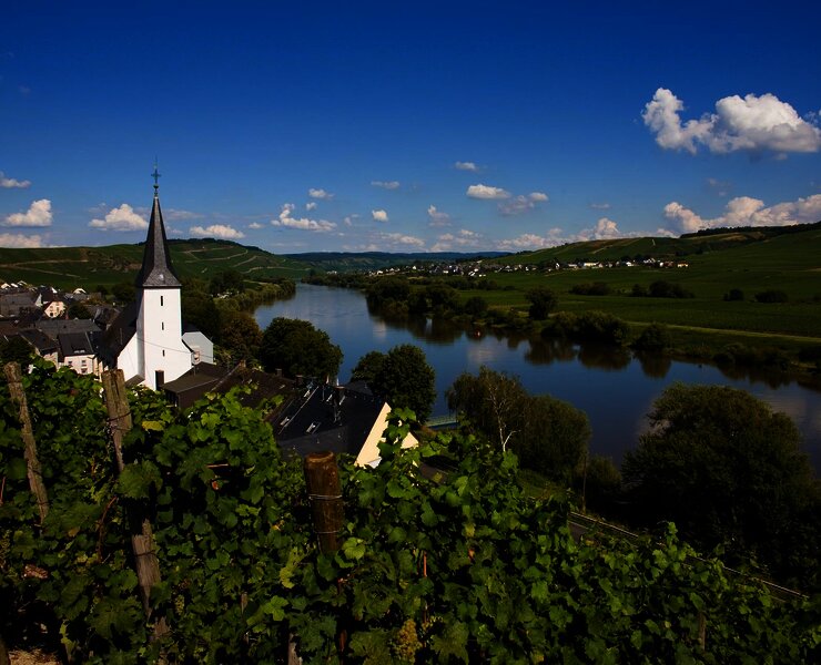 Kesten an der Mosel