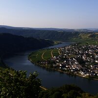 Ausblick auf die Moselloreley und die Gemeinde Piesport