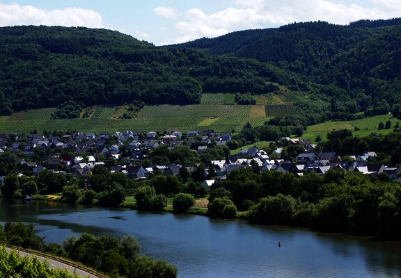 Andel an der Mosel