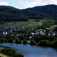 Andel an der Mosel