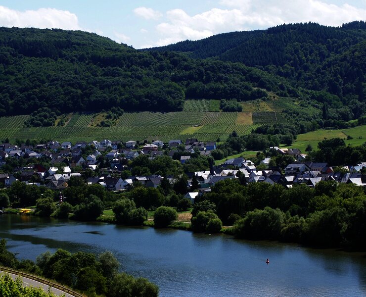 Andel an der Mosel