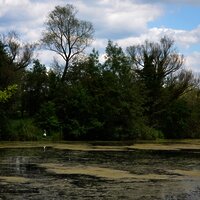 Vogelschutzgebiet "Pferdemosel" am Mosel-Radweg bei Nennig