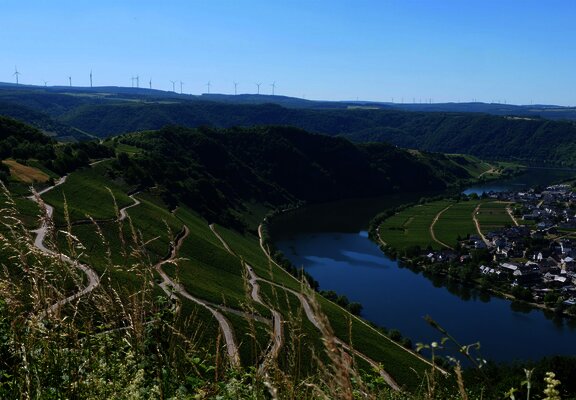 Aussblick von Moselpanoramastraße Piesport