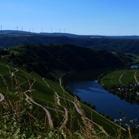 Aussblick von Moselpanoramastraße Piesport