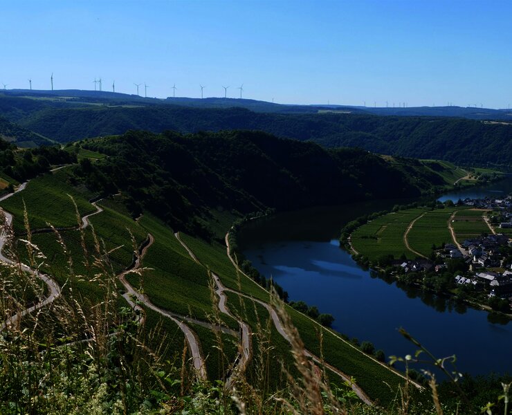Aussblick von Moselpanoramastraße Piesport