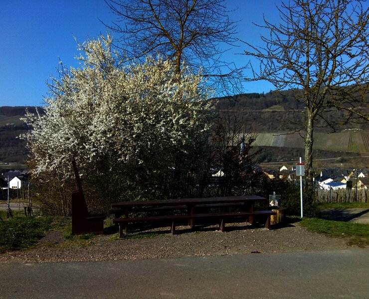 Rittertafel auf dem Weinlagenweg