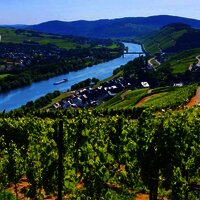 Weinort Lieser Genetsch Mosel
