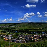 Ausblick von einem unserer Weinberge