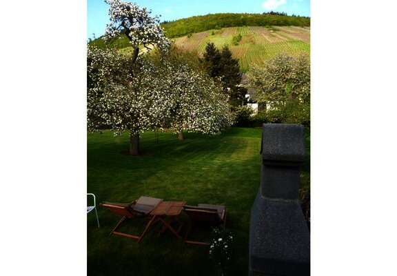 zwei-liegestuehle-sind-schon-resrviert