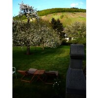 zwei-liegestuehle-sind-schon-resrviert