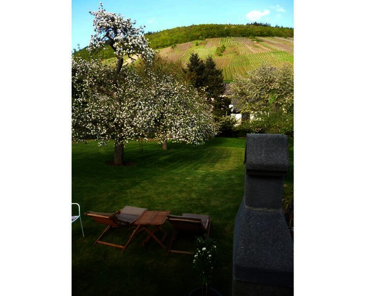 zwei-liegestuehle-sind-schon-resrviert