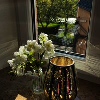 Fensterblick Engelgrube