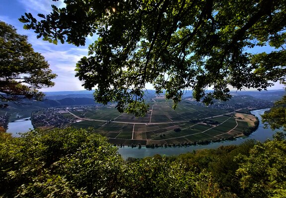 Piesport_Großer_Moselblick