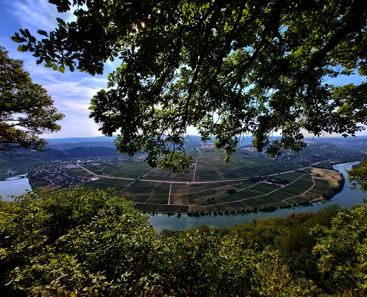 Piesport_Großer_Moselblick