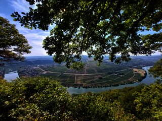 Piesport_Großer_Moselblick