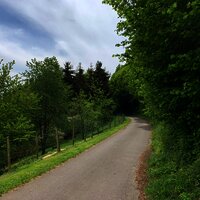 Umgeben von Wald und Wiesen