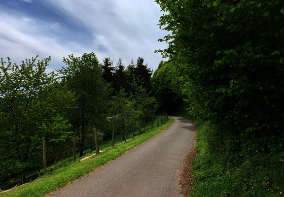 Umgeben von Wald und Wiesen