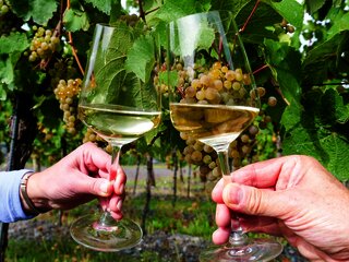 Wein an der Mosel genießen