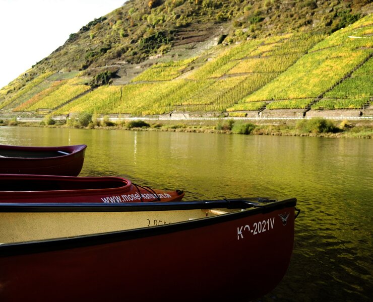 Kanus in der Mosel